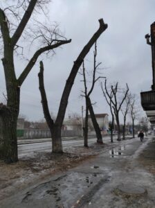 Фото від 18 лютого 2022