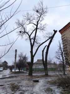Фото від 18 лютого 2022