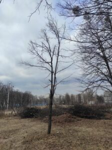 Фото від 31 січня 2023 року