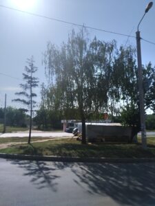 Фото від 9 серпня 2021