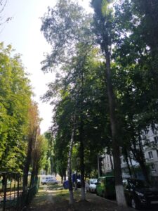 Фото від 26 серпня 2021