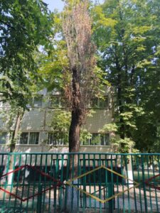 Фото від 26 серпня 2021
