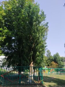 Фото від 26 серпня 2021