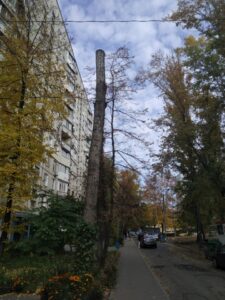 Фото від 17 жовтня 2021 року