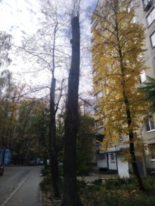Фото від 17 жовтня 2023 року