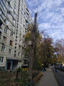 Фото від 17  жовтня 2021 року
