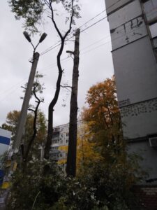 Фото від 13 жовтня 2021