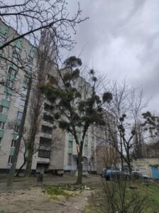 Фото від 3 квітня 2023 року