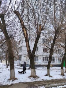 Фото від 28.12.2021
