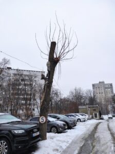 Фото від 3 лютого 2022