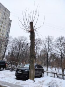 Фото від 3 лютого 2022