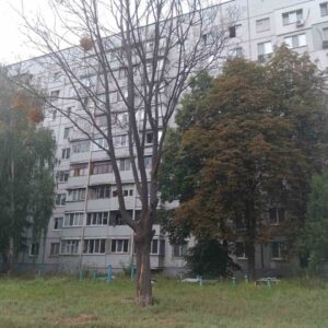 Фото від 15 серпня 2022
