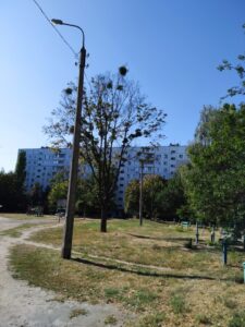 Фото від 21 вересня 2020 