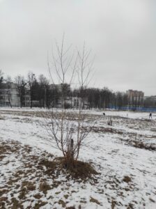 Фото від 2 лютого 2023 року