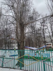 Фото від 12 лютого 2023 року