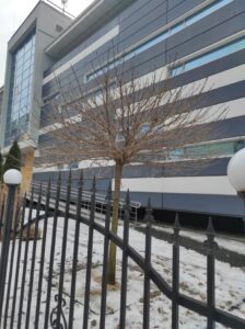 Фото від 14 лютого 2023 року