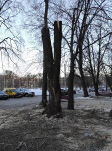 Фото від 23 лютого 2023