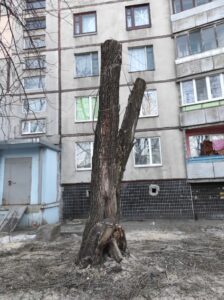 Фото від 23 лютого 2023