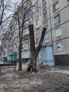 Фото від 23 лютого 2023