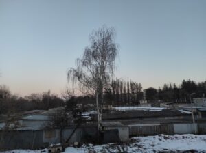 Фото від 23 лютого 2023