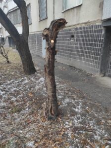 Фото від 25 лютого 2023 року