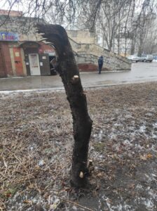 Фото від 25 лютого 2023 року