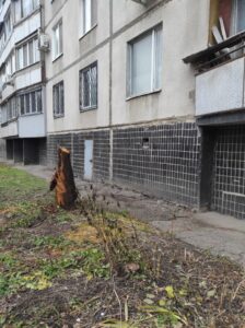 Фото від 4 грудня 2023 року