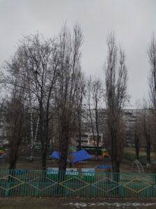 Фото від 21 грудня 2023 року
