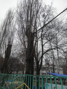 Фото від 21 грудня 2023 року