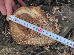 Фото від 4 квітня 2023 року