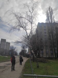 Фото від 4 квітня 2023 року