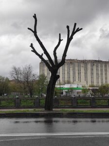 Фото від 21 квітня 2023 року