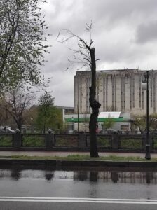 Фото від 21 квітня 2023 року