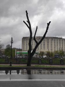 Фото від 21 квітня 2023 року