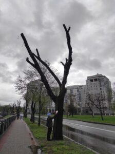 Фото від 21 квітня 2023 року