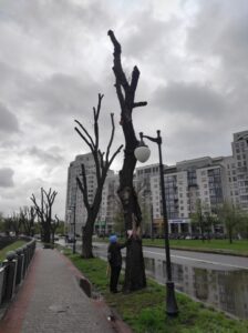 Фото від 21 квітня 2023 року