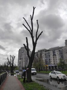 Фото від 21 квітня 2023 року