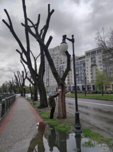 Фото від 21 квітня 2023 року