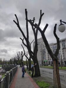 Фото від 21 квітня 2023 року