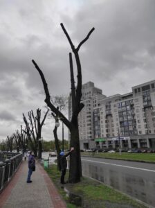 Фото від 21 квітня 2023 року