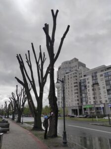 Фото від 21 квітня 2023 року