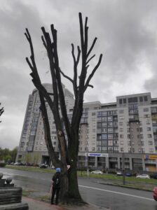 Фото від 21 квітня 2023 року