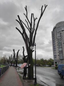 Фото від 21 квітня 2023 року