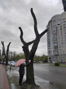Фото від 21 квітня 2023 року