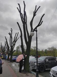 Фото від 21 квітня 2023 року