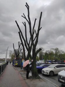 Фото від 21 квітня 2023 року