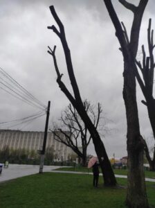Фото від 21 квітня 2023 року