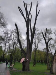 Фото від 21 квітня 2023 року