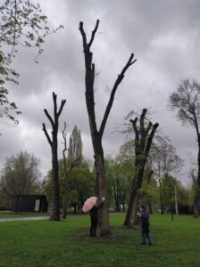 Фото від 21 квітня 2023 року