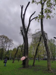 Фото від 21 квітня 2023 року